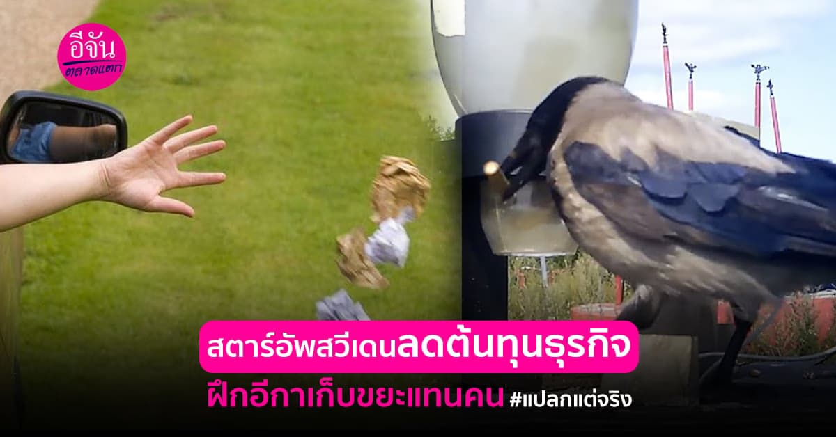 การทิ้งขยะให้เป็นที่ เป็นทางน่าจะเป็นเรื่องยากที่สวีเดน