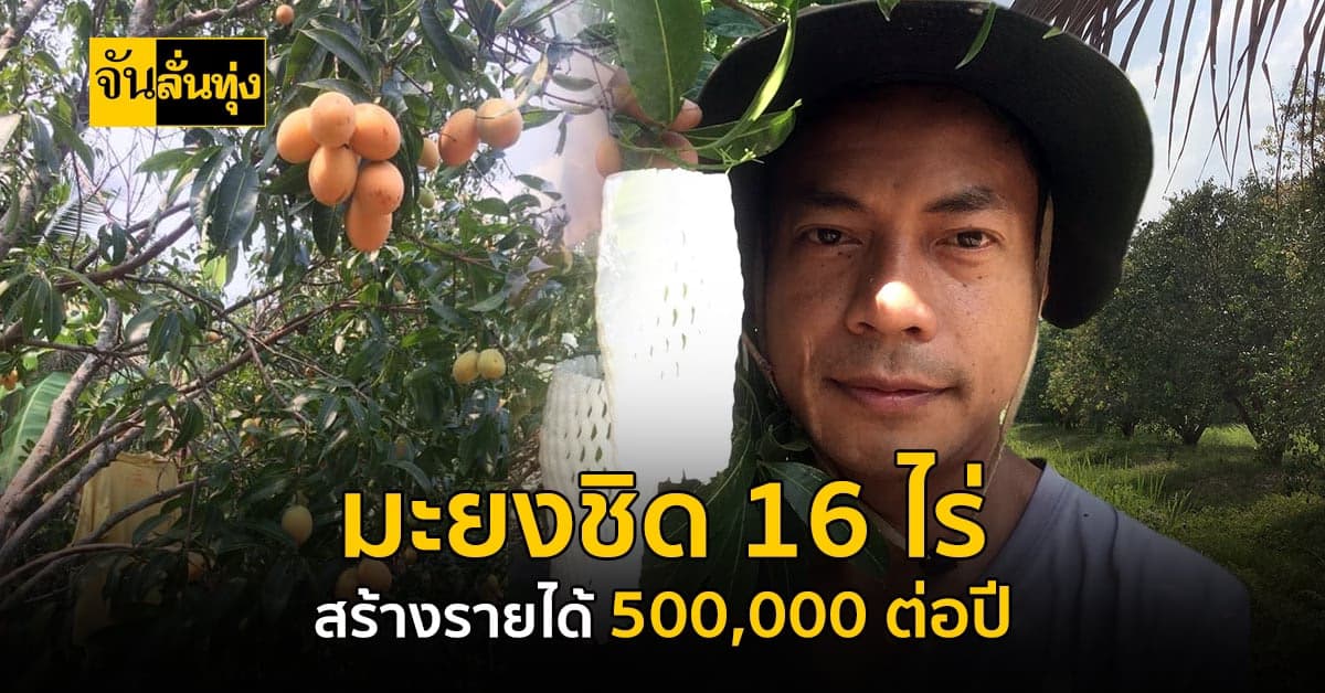ทำสวนผลไม้ด้วยแนวคิดผสมผสาน สร้างเงินนับล้านบาทต่อปี