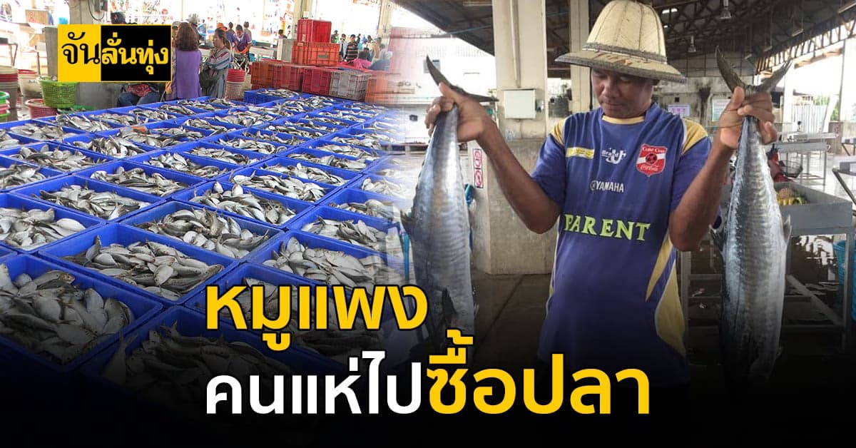 หมูแพง!!! หันมาบริโภคเนื้อปลาทดแทน