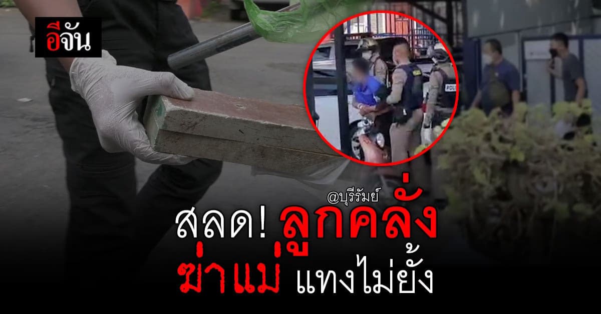 ลูกคลั่ง แทงแม่เสียชีวิตคาที่ เพราะ โดนบังคับให้กินยาตามหมอสั่ง