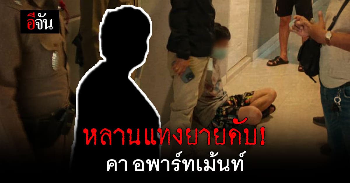 หลานชาย แทง ยายแท้ๆ วัย 71 ดับคา อพาร์ทเม้นท์