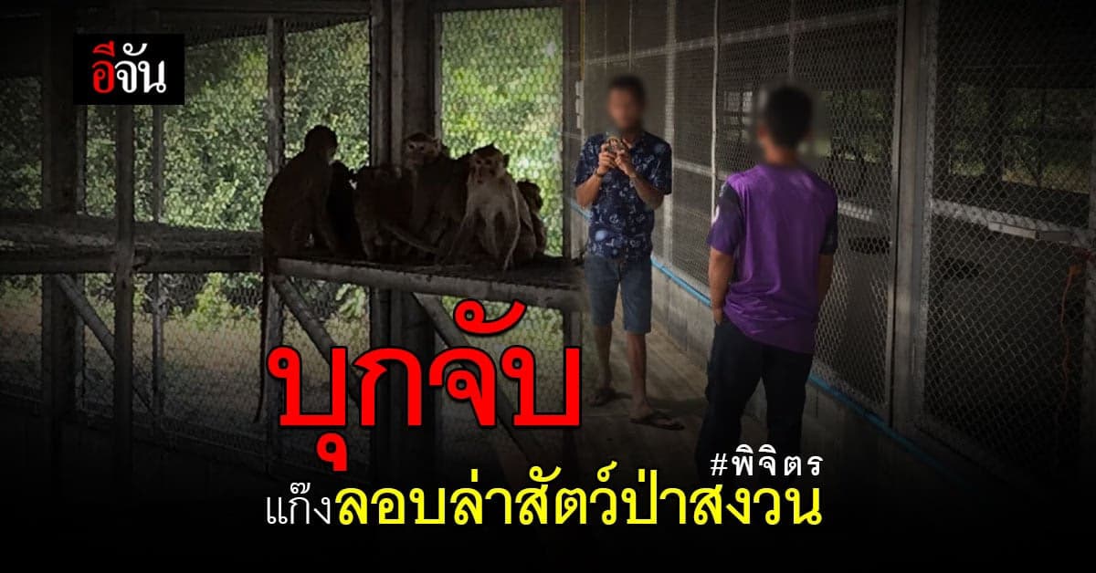จับแก๊ง ลักลอบล่าสัตว์สงวน ลิง 21 ตัว เหี้ย 39 ตัว