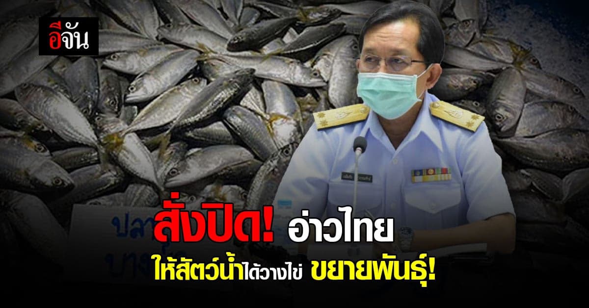 กรมประมง สั่งปิด อ่าวไทย (ตอนกลาง) ให้ สัตว์น้ำ วางไข่ ขยายพันธุ์