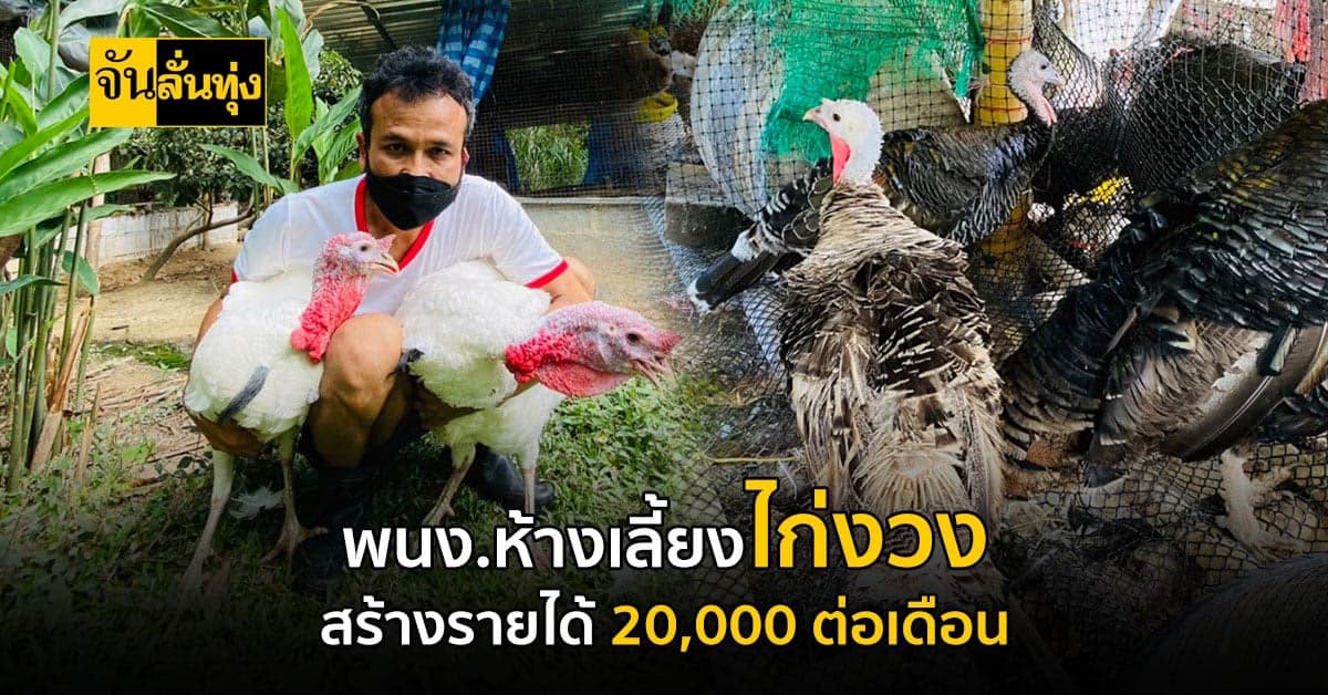 พนง.ห้างสร้างอาชีพด้วยการเลี้ยงไก่งวง สร้างเงินกว่า 20,000 บาท