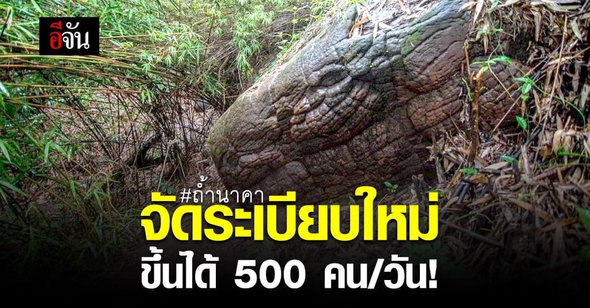 กรมอุทยานฯ จัดระเบียบเที่ยวชม “ถ้ำนาคา” ใหม่!หลังคนเยอะติดค้างลงไม่ทัน