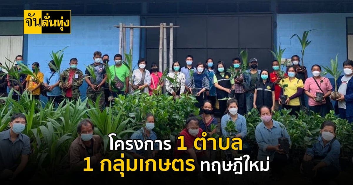 กรมส่งเสริมการเกษตรโชว์คืบหน้าร้อยละ 90 ส่งมอบพืชให้เกษตรกร