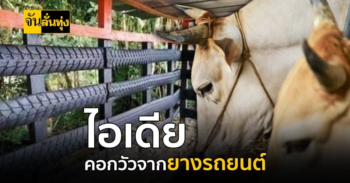 ไอเดียดีก็ลดต้นทุนได้ โรงเรือนจากยางรถยนต์