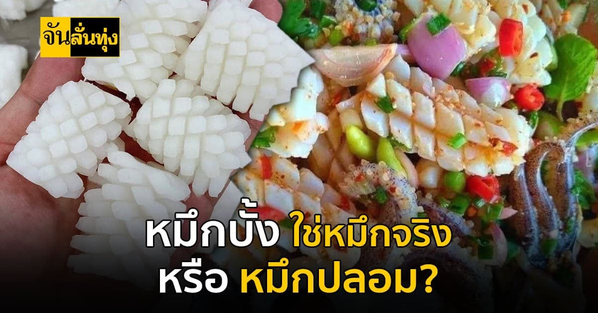 เถียงกันทุกครั้งที่เจอ? สรุปแล้ว หมึกบั้ง ทำมากจากอะไร