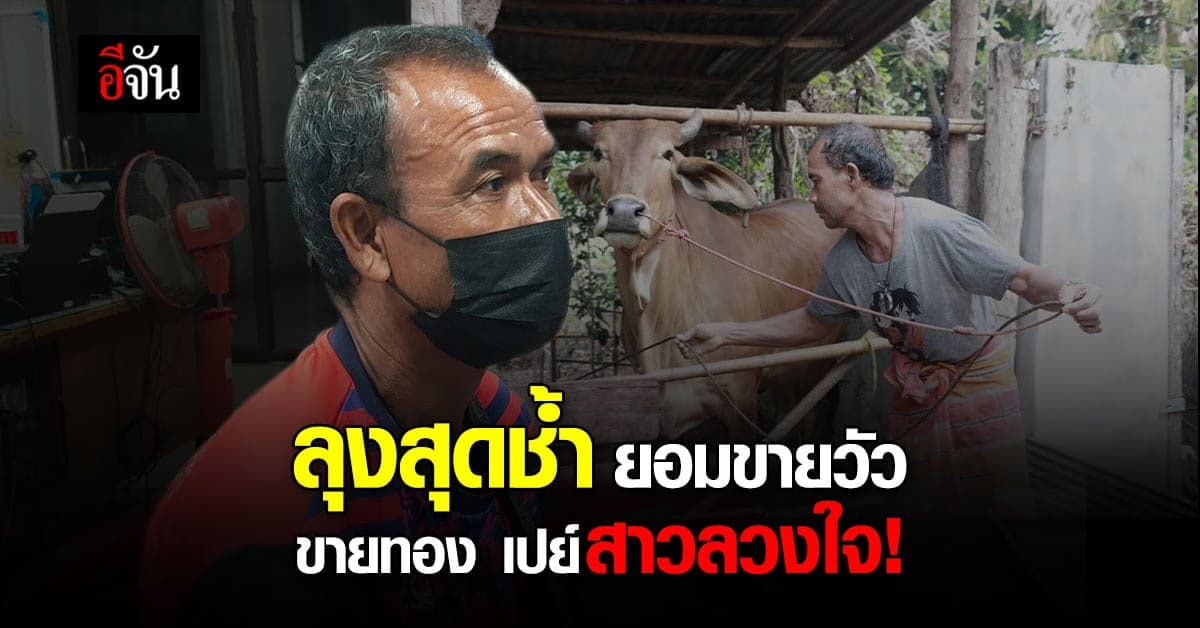 สุดช้ำ! ลุง ยอมขายวัว ขายทอง เปย์สาว สุดท้ายโดนหลอก สูญเกือบแสน