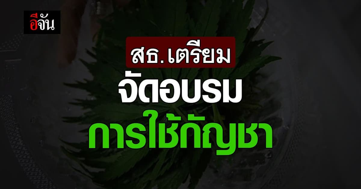 สธ. เตรียมจัด ประชุมวิชาการ เสริมความรู้เรื่อง กัญชา กัญชง