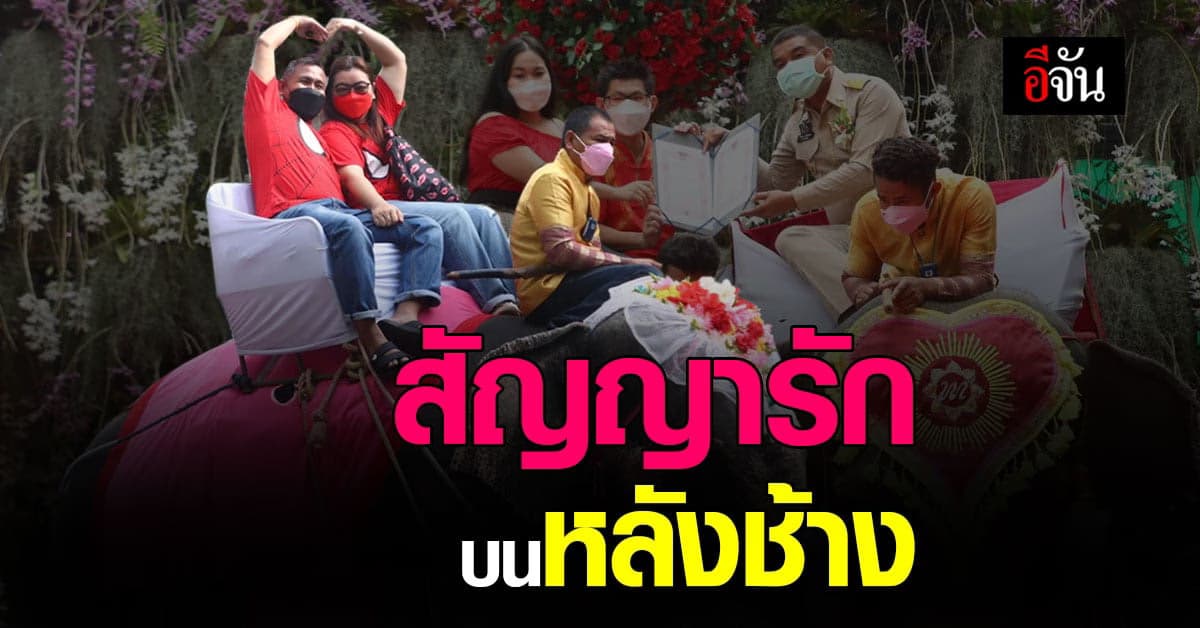 วิวาห์ สุดอลังการ พร้อม พยานรัก แสนยิ่งใหญ่ ที่สวนนงนุช