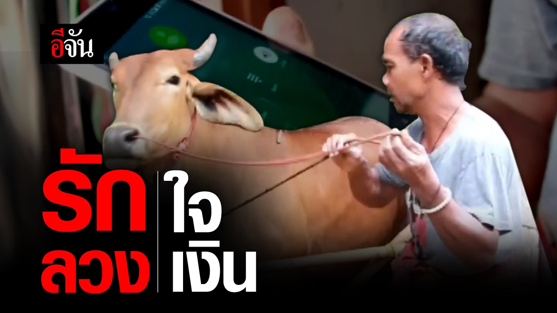 🎬 รักลวงเงิน