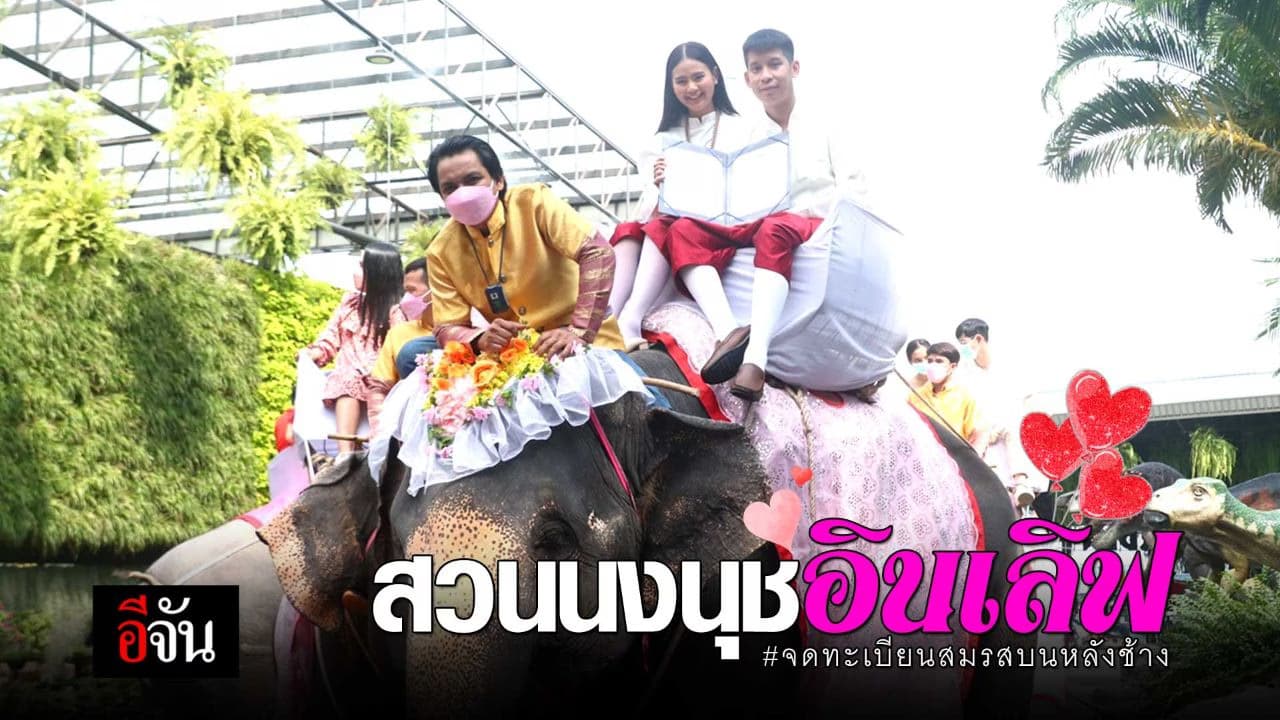 🎬 สวนนงนุชอินเลิฟ #จดทะเบียนสมรสบนหลังช้าง