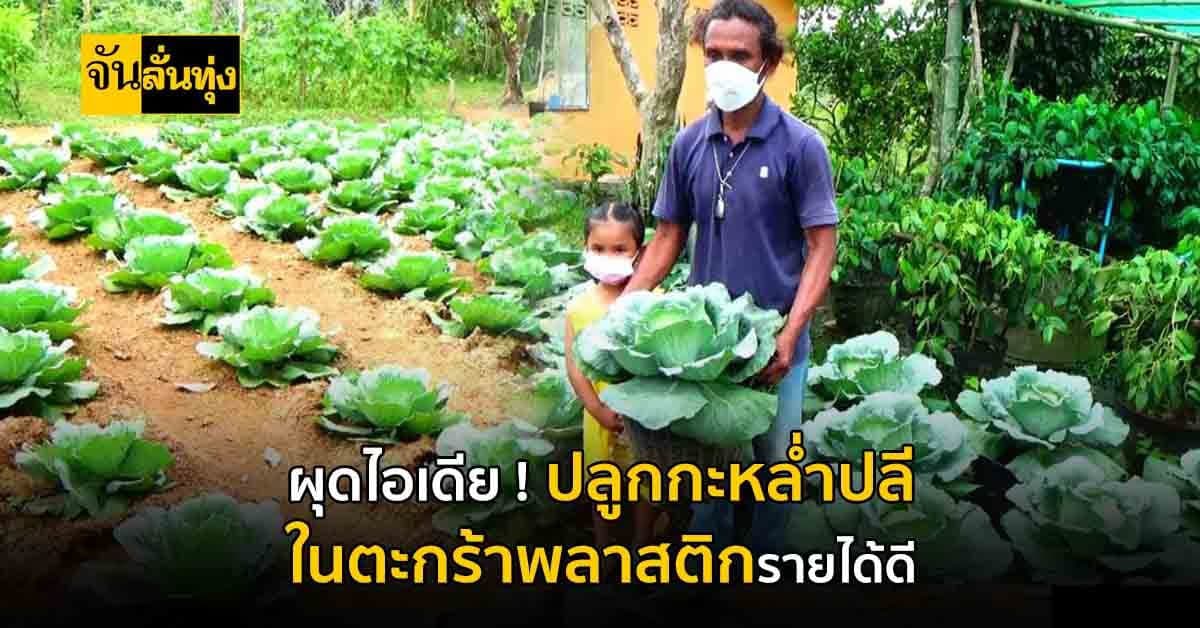 เกษตรกรตรัง ปิ๊งไอเดีย ปลูกพืชผักในตะกร้าพลาสติก หนีน้ำท่วม-ภัยแล้ง