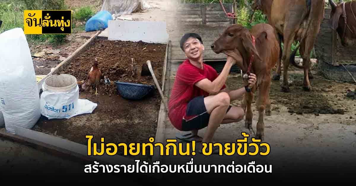 หนุ่มอบจ.พะเยา ขายขี้วัว อาชีพเสริม สร้างรายได้เกือบหมื่นบาทต่อเดือน