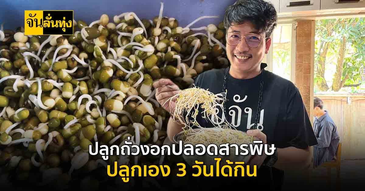 ไอเดียปลูกถั่วงอกกินเองง่ายๆ ไม่ต้องลงทุน แถมปลอดสารพิษอีกด้วยจ้า