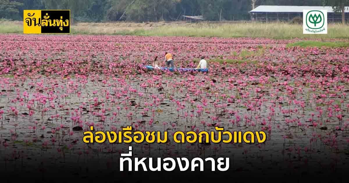 พาทุกคนไปไกลถึง หนองคาย ไปเที่ยว วังบัวแดง แวะซื้อสินค้าจาก ชาวบ้าน