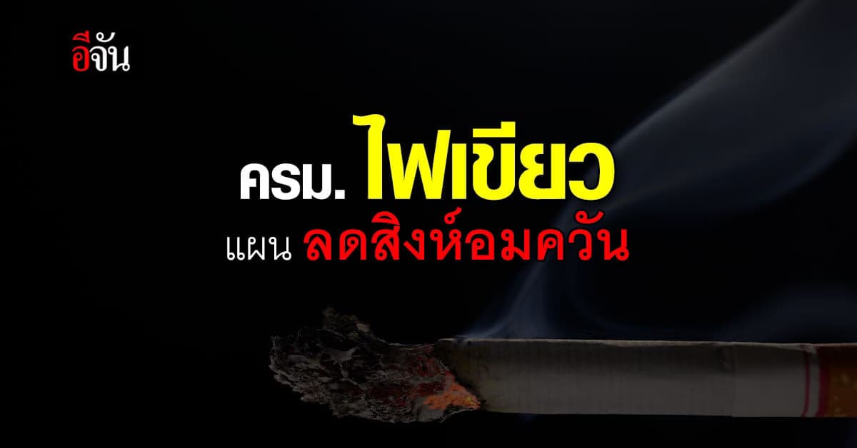 ครม. เดินหน้า 6 ยุทธศาสตร์ วงเงิน 498 ล้านบาท ลดการบริโภคยาสูบ