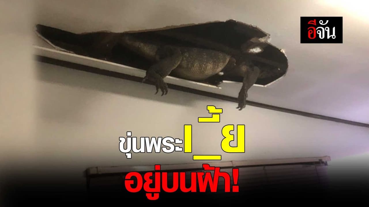 🎬 ขุ่นพระ เ_ี้ย อยู่บนฝ้า!