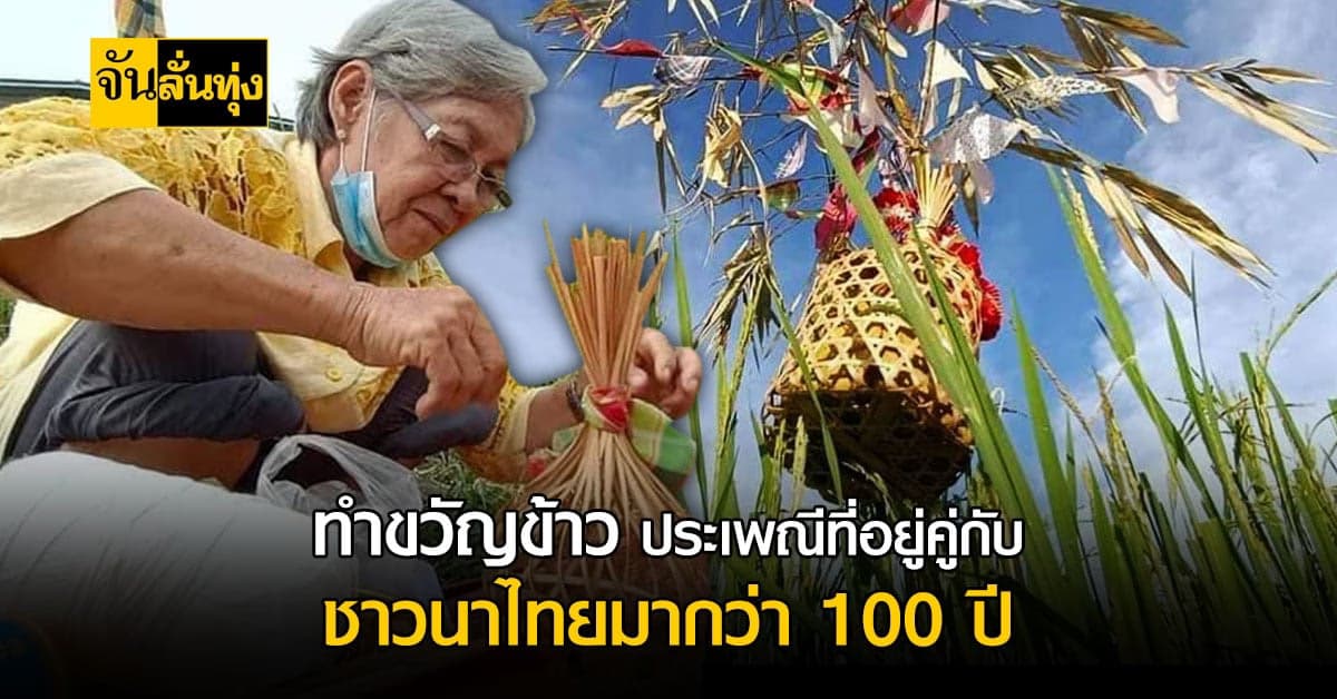 ประเพณีทำขวัญข้าว ประเพณีที่คู่ควรอนุรักษ์