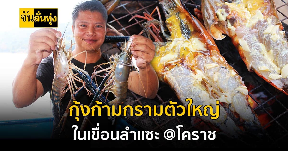 ประมงโคราช ปล่อยกุ้งก้ามกราม ที่เขื่อนลำแซะ ผ่านไป 2 ปี จับกินได้