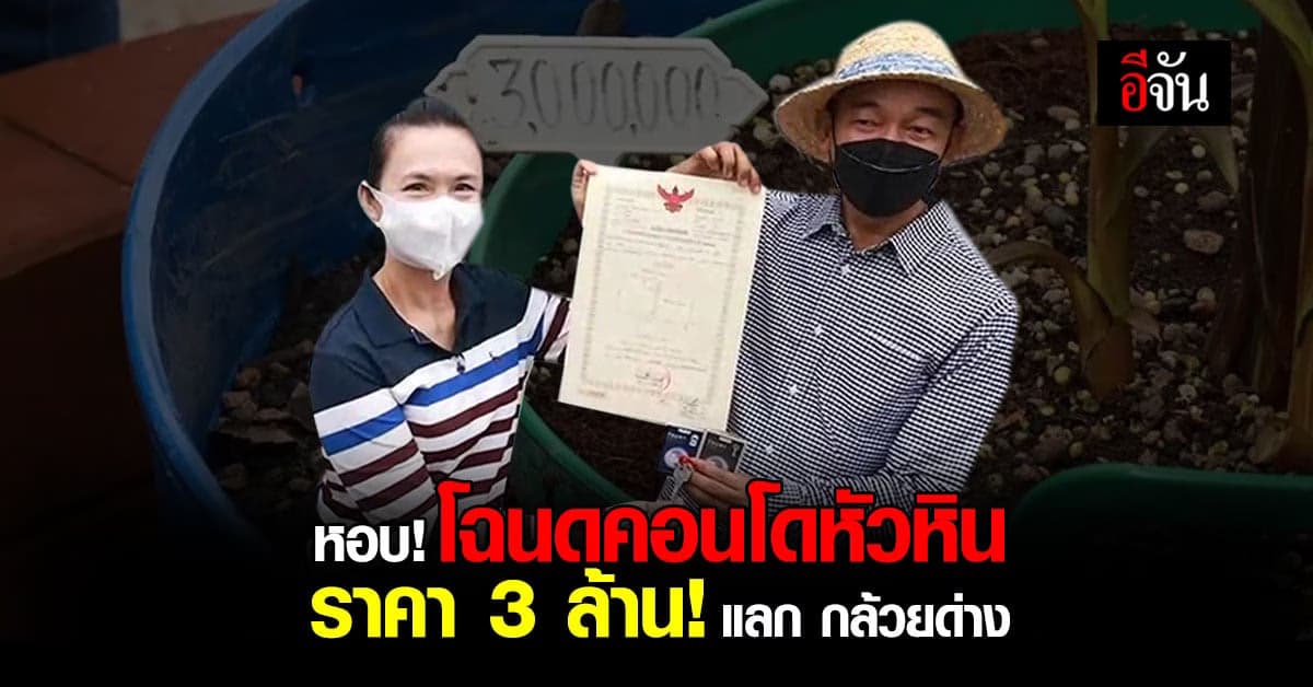 ฮือฮา! พล.อ.อ. และภรรยา หอบ! โฉนดคอนโดหัวหิน แลกกล้วยด่าง ราคา 3 ล้าน!