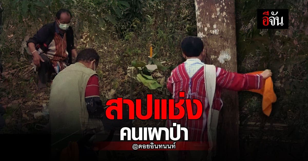 ชาวเขา บน ดอยอินทนนท์ จัดพิธี สาปแช่งคนเผาป่า หวังลด ปัญหาหมอกควัน