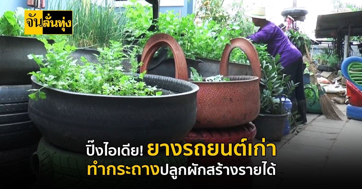 หนุ่มผุดไอเดียเจ๋ง! เอายางรถยนต์เก่า นำมาเป็นกระถางปลูกผักสร้างเงิน