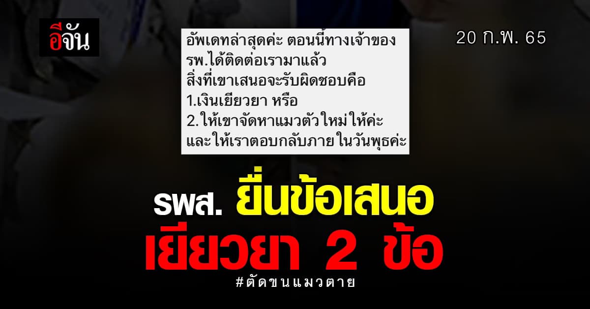 ยื่นข้อเสนอ เยียวยา 2 ข้อ ให้เจ้าของแมว