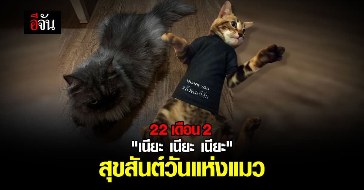 ทาสแมว รู้กันไหม ? 22 กุมภาพันธ์ ยกให้เป็น 22 กุมภาพันธ์ ของ ญี่ปุ่น !