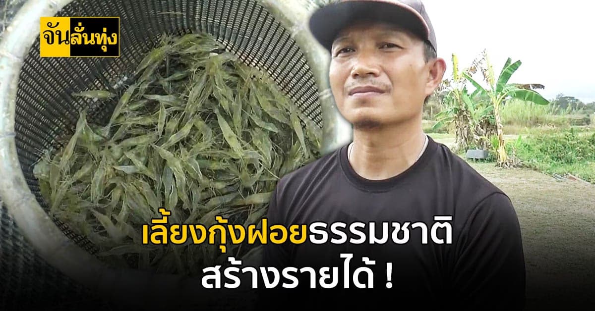 หนุ่มวัย 44 ปี เลี้ยงกุ้งฝอยธรรมชาติ ส่งขายสร้างรายได้
