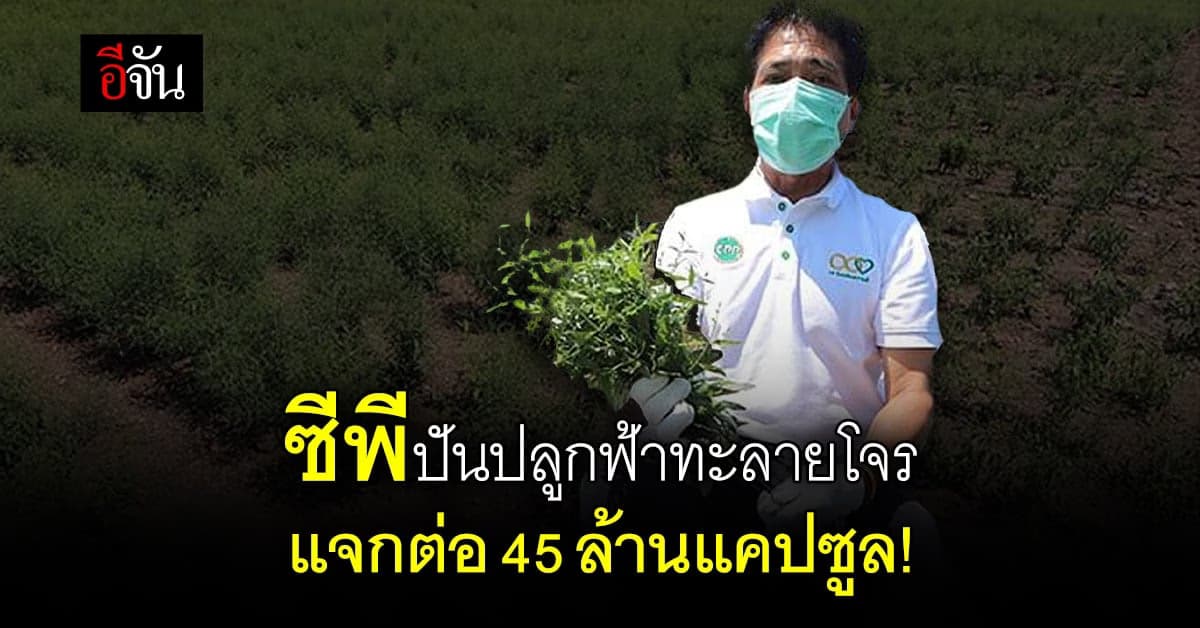 ซีพีเดินหน้าร่วมสู้โอไมครอน! แจกฟรีฟ้าทะลายโจรต่อ 45 ล้านแคปซูล