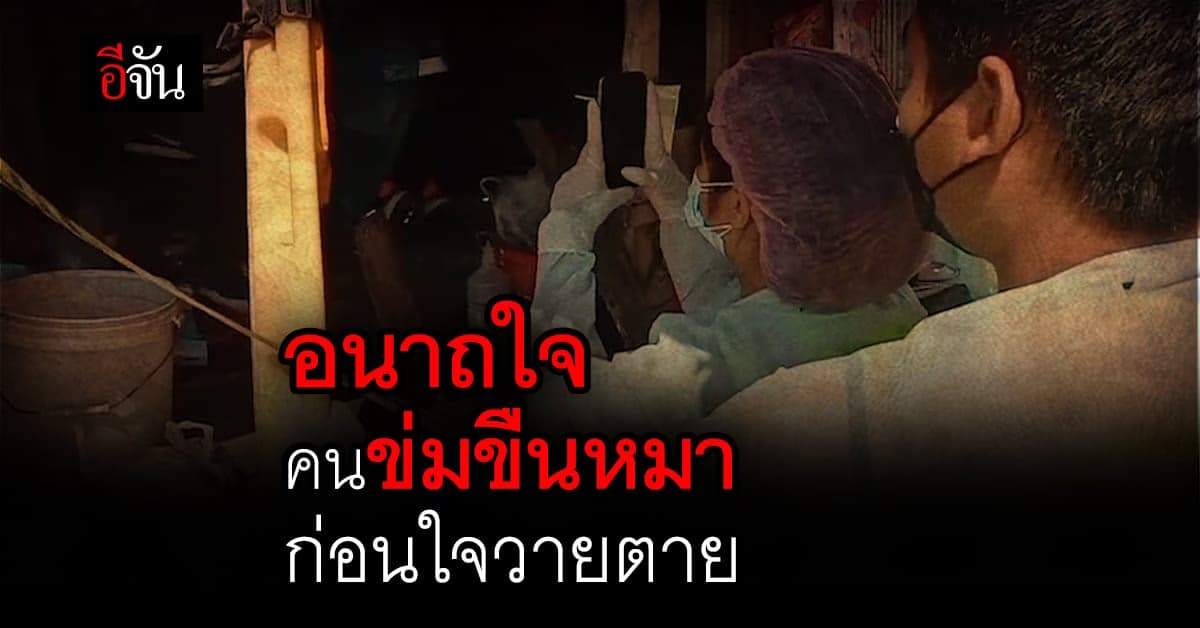 อนาถใจ! คนข่มขืนหมา ก่อนช็อกตายคู่