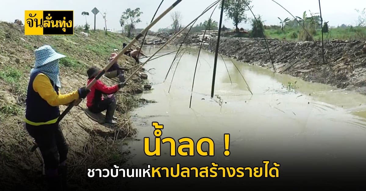 พะเยา ชาวบ้านแห่หาปลาคึกคัก หลังน้ำเริ่มแห้งและลดลง