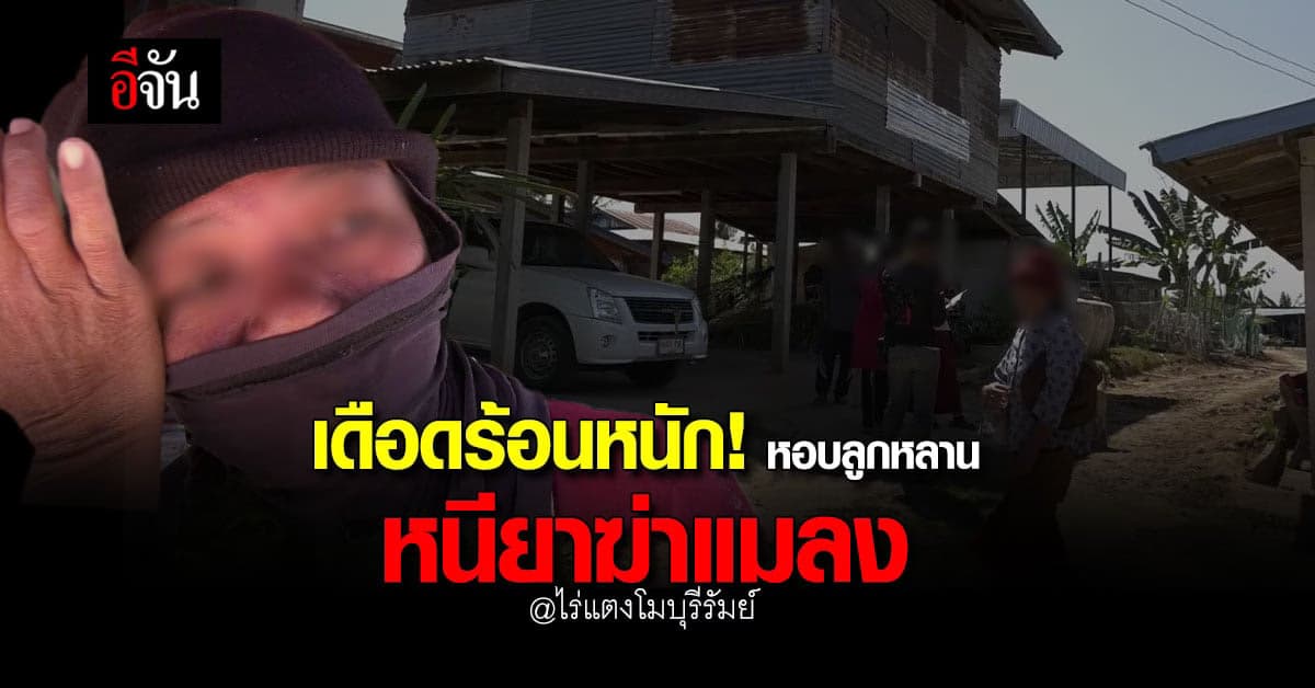 ชาวบ้าน หอบลูกหลาน หนียาฆ่าแมลง สัตว์ในหมู่บ้าน ตายนับสิบ ที่บุรีรัมย์