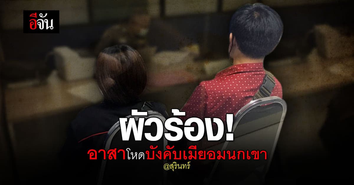 ผัวเมีย ร้อง ปปป.ถูกอาสารังแก ซ้อมผัว บังคับเมียอมนกเขา