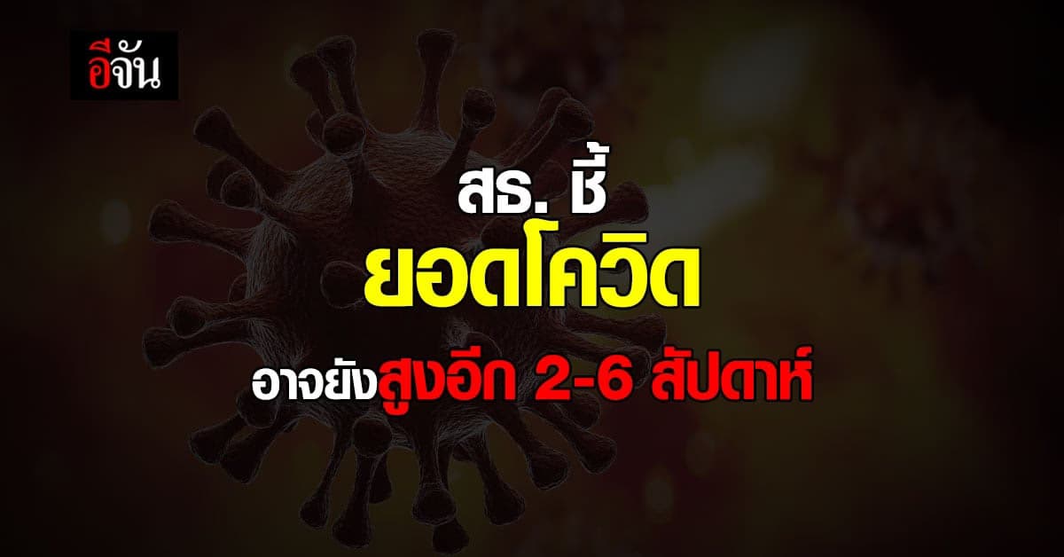 สธ. ชี้ ยอดโควิด อาจยัง สูงต่อเนื่อง 2-6 สัปดาห์ ก่อนเริ่ม ลดลง