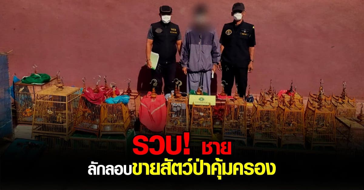 กก.6 ปทส. บุกรวบ! ชายวัย 45 ลักลอบจับสัตว์ป่าคุ้มครอง ขาย
