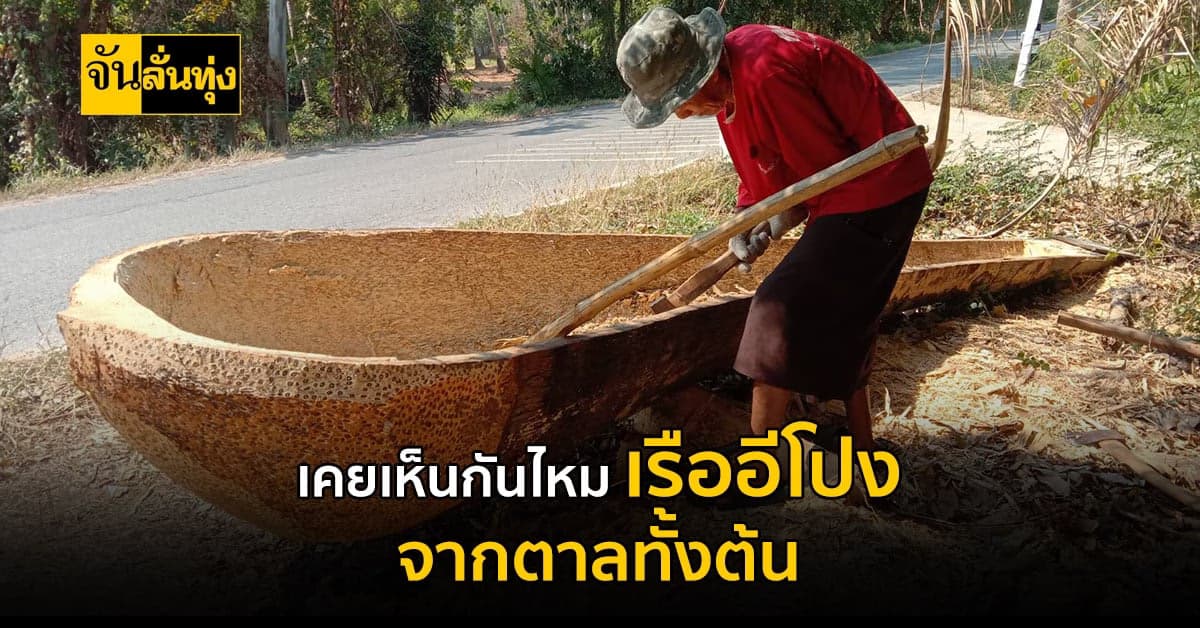 เรือโบราณหาดูยาก? วิธีขุด เรืออีโปง จากตาลทั้งต้น