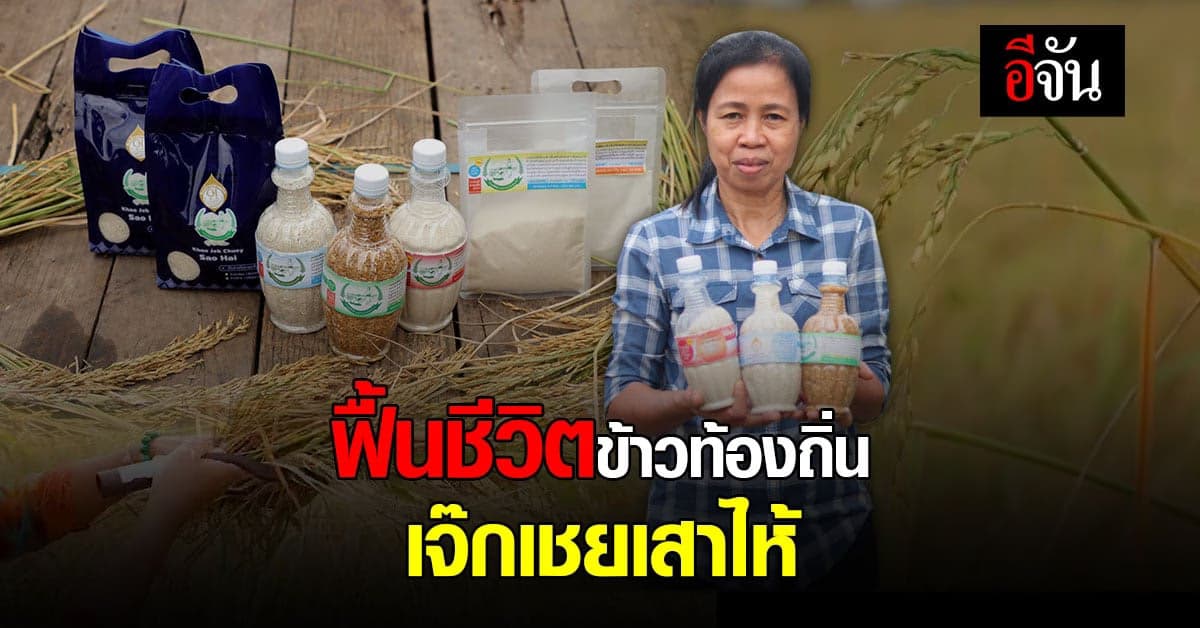 ข้าวพันธุ์ท้องถิ่น เจ๊กเชยเสาไห้ ข้าวน้ำตาลต่ำ เหมาะกับผู้ป่วยเบาหวาน