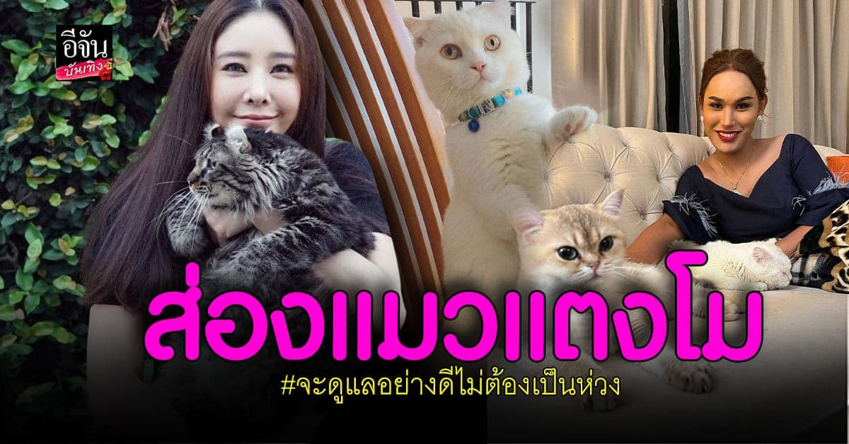 แอนนา​ เผย​ แมวแตงโม​ ได้ไปอยู่ไหนบ้าง​ หลัง​ แตงโม​ นิดา​ เสียชีวิต