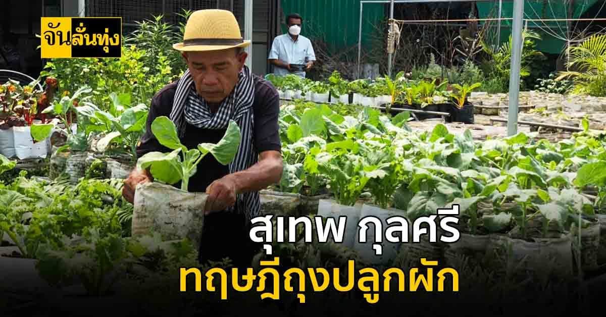 สุเทพ กุลศรี เจ้าของทฤษฎีปลูกผักลงถุง