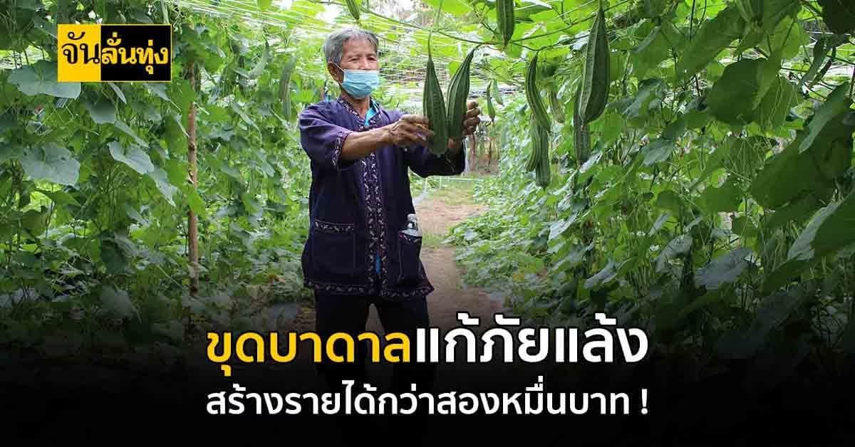 กาฬสินธุ์ แหล่งน้ำบาดาล พลิกผืนดินแล้ง เป็นแหล่งสร้างรายได้ให้เกษตรกร