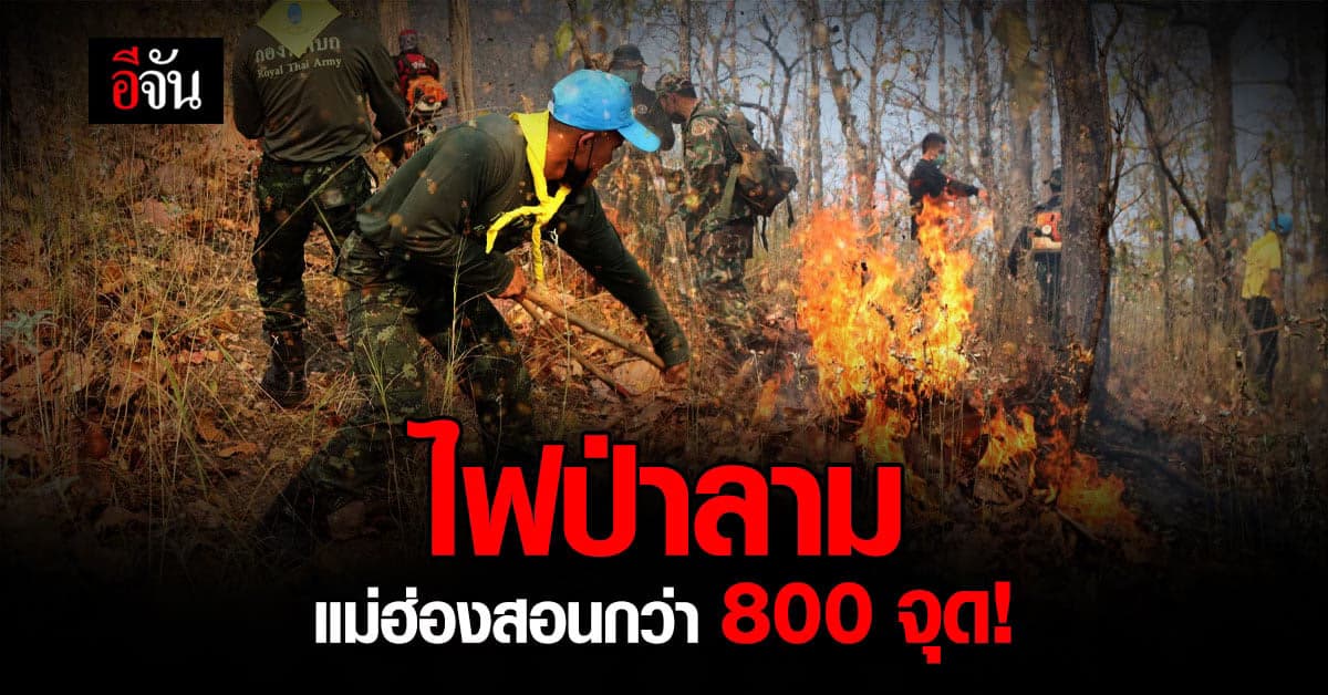 แม่ฮ่องสอน พบ จุดความร้อน เกิดเป็น ไฟป่า กว่า 800 จุด ซ้ำ ค่าฝุ่นสูง!