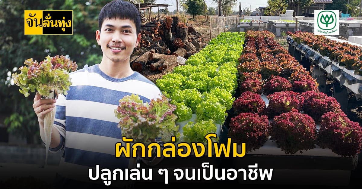 เพราะปัญหาโควิดตัดสินใจกลับบ้านเกิด ลงมือทำเกษตร จนเป็นอาชีพหลัก