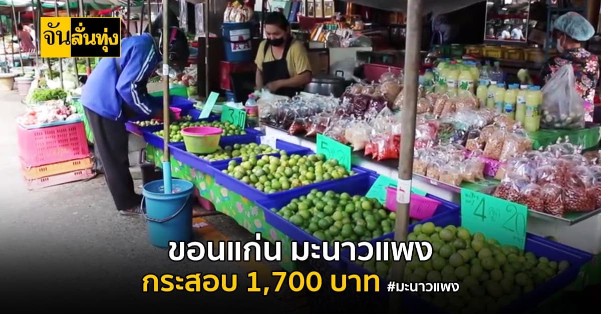 ไปกันใหญ่! ราคามะนาว ปรับขึ้น กระสอบละ 1,000 บาท