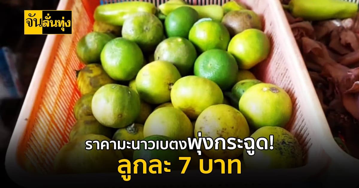 แม่ค้าบ่นอุบ! มะนาวเบตง แพงสุดเท่าที่เคยขายมา