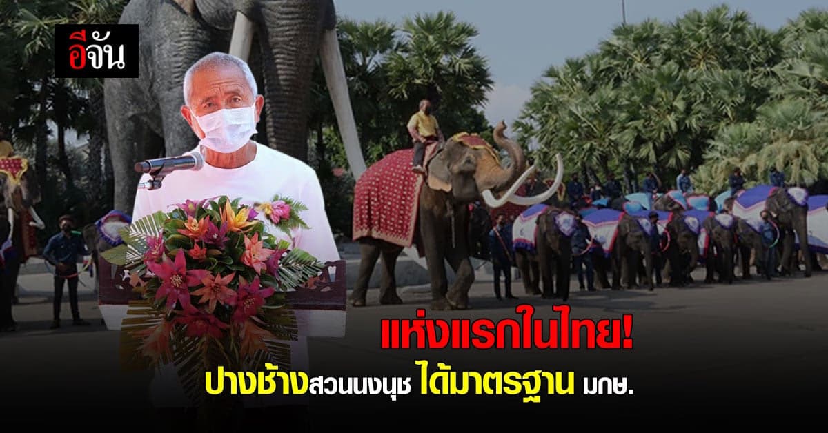 ปางช้างสวนนงนุชพัทยา มาตรฐาน มกษ.แห่งแรกของไทย