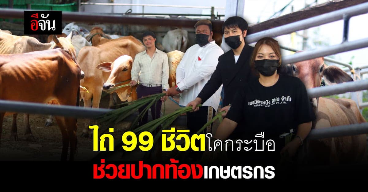 เนรมิตรหนัง ฟิล์ม ทำบุญครบรอบ 1 ปี ไถ่ชีวิตโค-กระบือ 99 ชีวิต