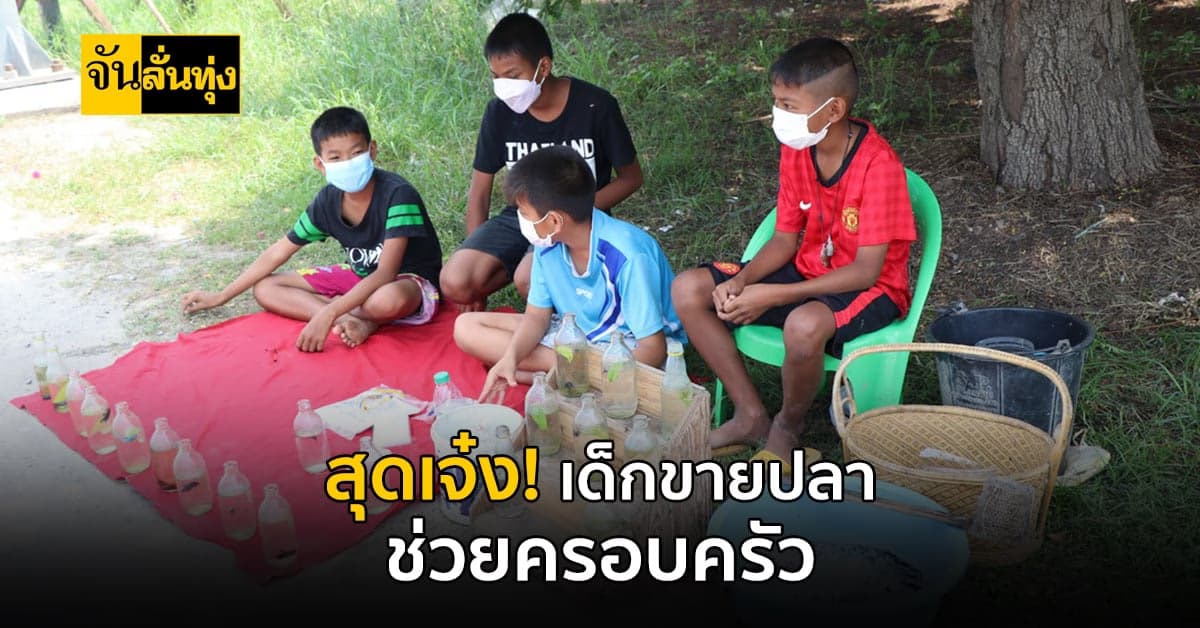 เป็นเด็กดีน่าชื่นชม! เด็กประถม จ.อ่างทอง ออกมาขายปลา หวังช่วยที่บ้าน